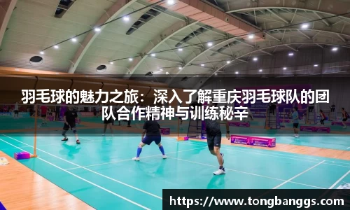 mk体育(mksport集团)股份公司