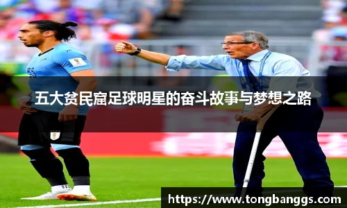 mk体育(mksport集团)股份公司
