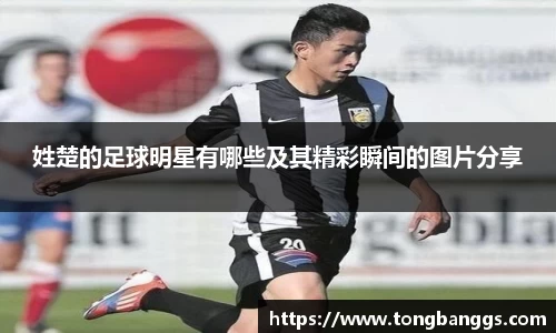 mk体育(mksport集团)股份公司