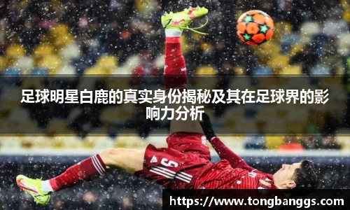 足球明星白鹿的真实身份揭秘及其在足球界的影响力分析